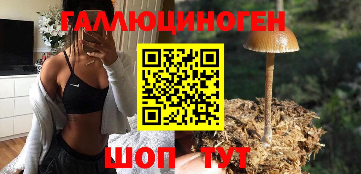 Псилоцибиновые грибы мицелий  Вход с VPN  Всеволожск 